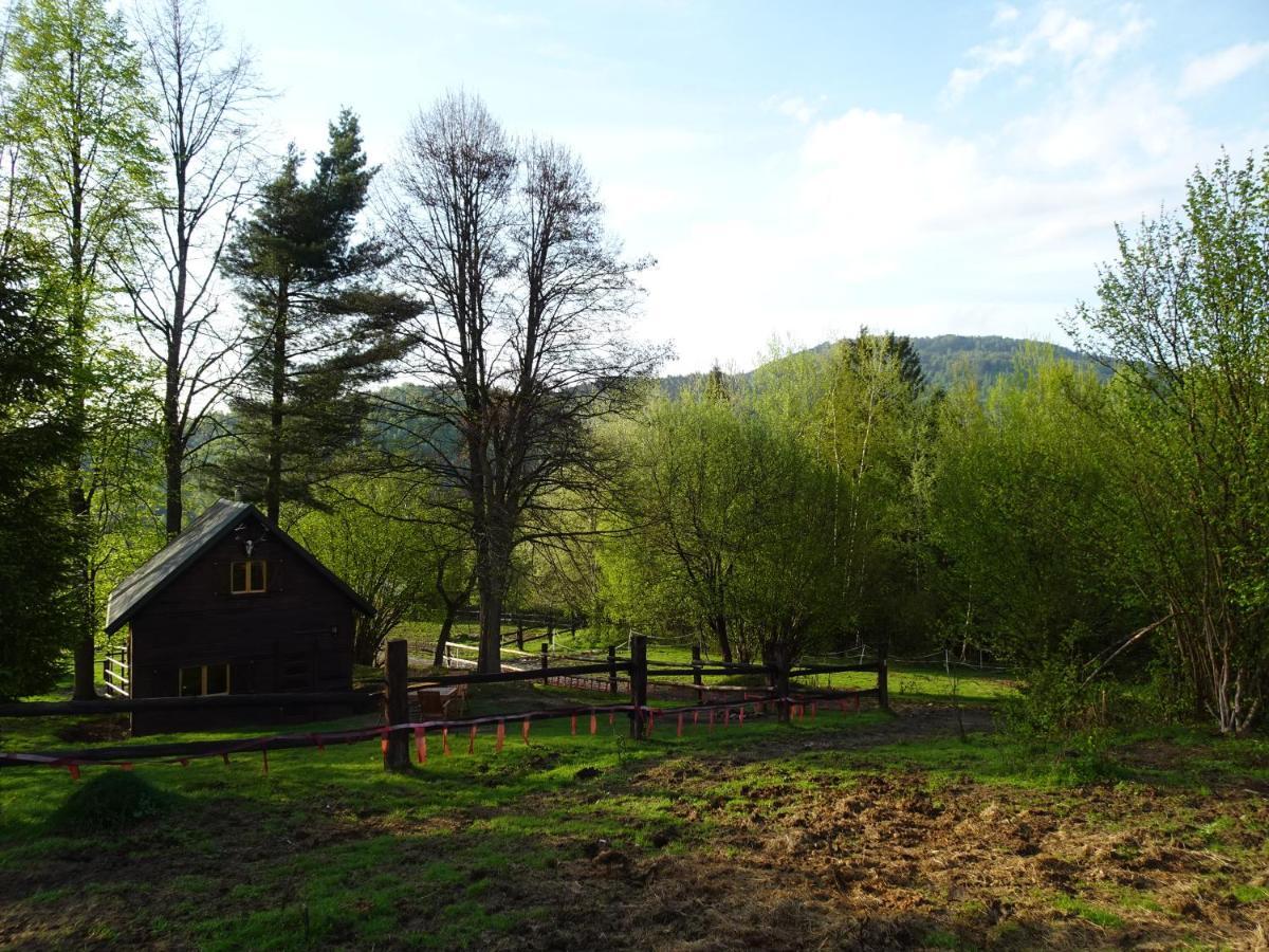 Domek Mysliwski W Gorach Уйсолы Экстерьер фото